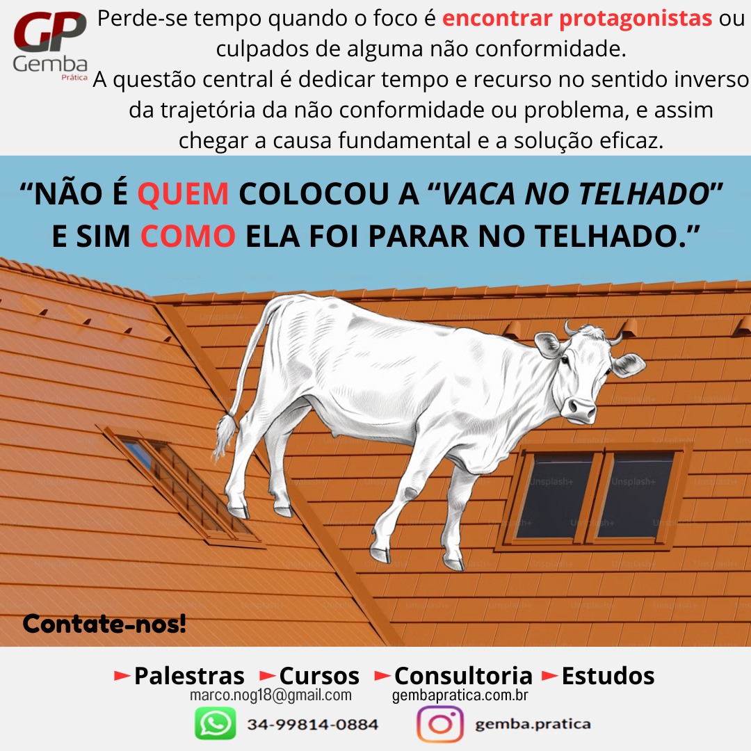 WhatsApp Image 2025-06-04 at 15.14.11